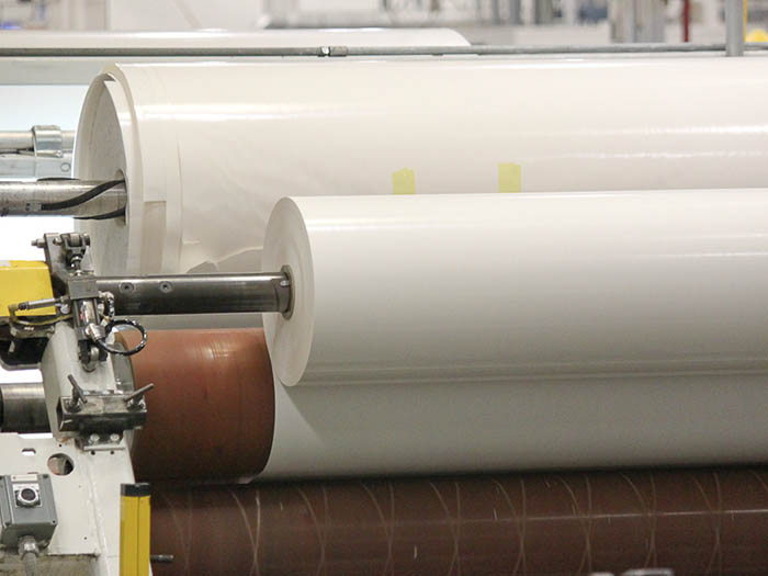 Redundant Assets